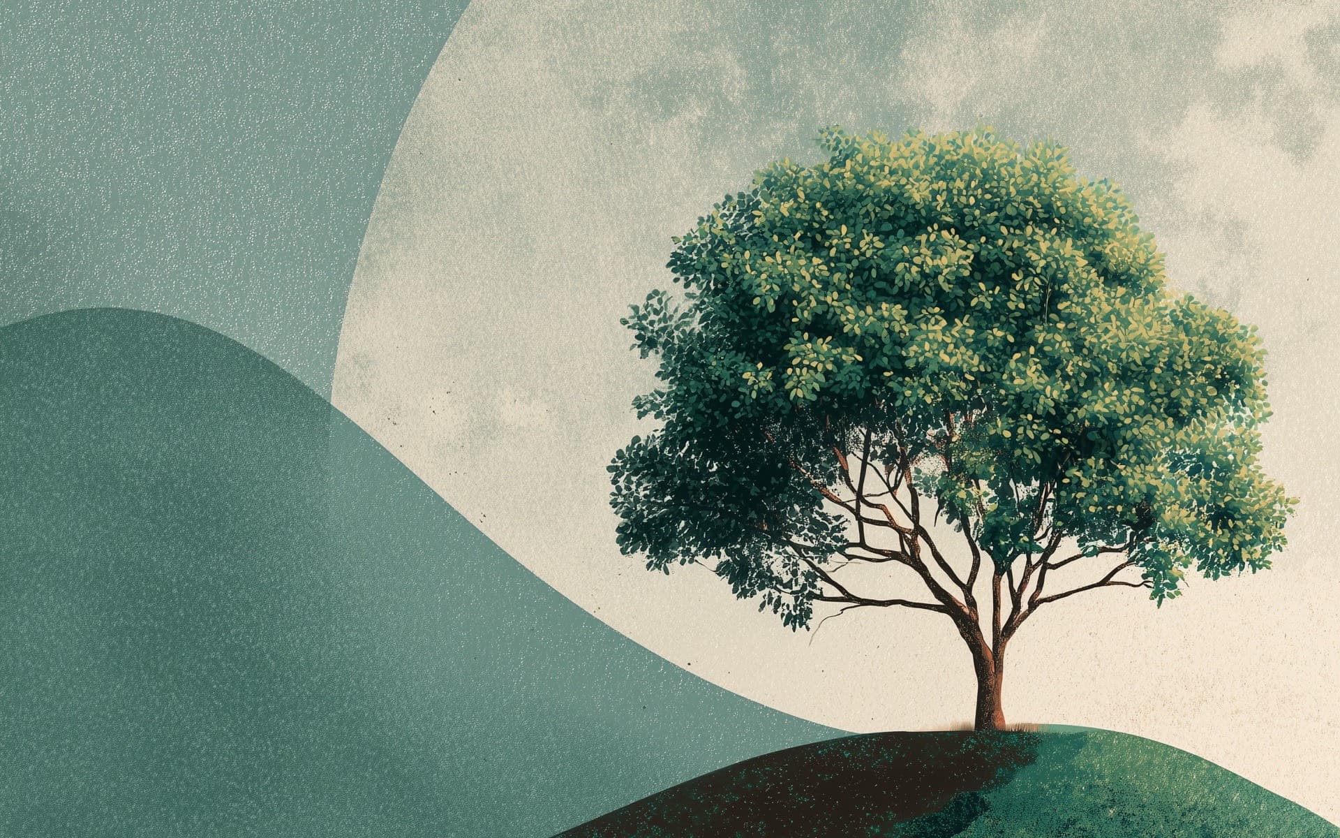 Einsamer Baum auf sanften Hügeln - Symbol für Wachstum und Klarheit